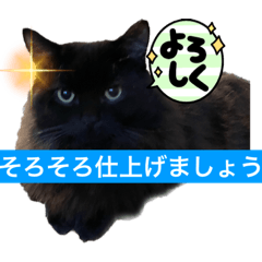 [LINEスタンプ] 黒猫 ルナ院長62にゃんめ