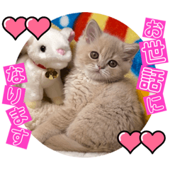 [LINEスタンプ] ねこまーち さらさらアクアマリン