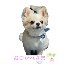 [LINEスタンプ] ししまるLOVE