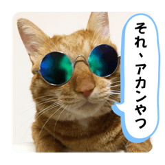 [LINEスタンプ] なつめ The orange tabby 2