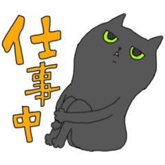 [LINEスタンプ] ジト目の黒猫さん