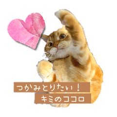 [LINEスタンプ] レイ君 甘いことばを キミにささやく。