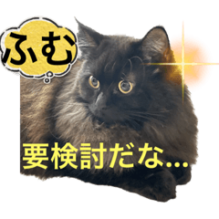 [LINEスタンプ] 黒猫 ルナ院長63にゃんめ