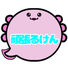 [LINEスタンプ] ウーパー君吹き出しスタンプ福岡弁博多弁01