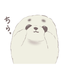 [LINEスタンプ] アザラシの赤ちゃん まろすけ