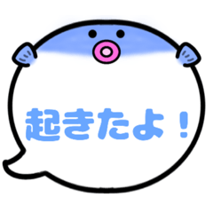 [LINEスタンプ] ふぐくん吹き出しスタンプ家族用001