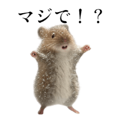 [LINEスタンプ] ⚫踊るネズミのトム