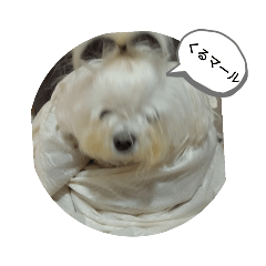 [LINEスタンプ] ふわふわ まるる
