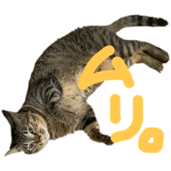 [LINEスタンプ] しんばちゅんだよ