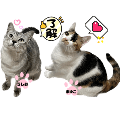 [LINEスタンプ] まゆたんうーたん