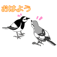 [LINEスタンプ] 色とりどりの鳥たち