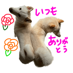 [LINEスタンプ] もなんご★☆2