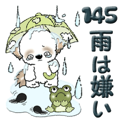 [LINEスタンプ] シーズー犬 145『雨嫌い！』の画像（メイン）