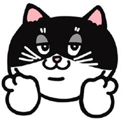 [LINEスタンプ] うちの 3匹にゃんこの顔スタンプ