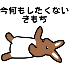 [LINEスタンプ] うさぎの、気持ち