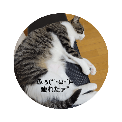 [LINEスタンプ] らむねの日常  第3弾❣️