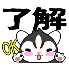 [LINEスタンプ] 返事にゃ はちわれ しろくろ ねこ