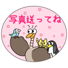 [LINEスタンプ] だちょうのさぶちゃん5