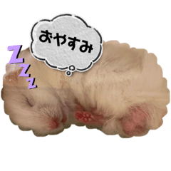 [LINEスタンプ] くろ＆しろのスタンプ