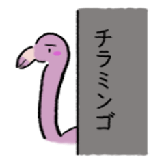 [LINEスタンプ] フラミンゴ 日常編