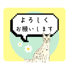 [LINEスタンプ] 親子動物スタンプ