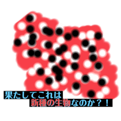 [LINEスタンプ] とらいぽふぉびあ