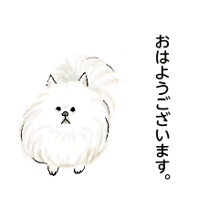 [LINEスタンプ] 使おう！ポメちゃんの定型文