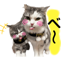 [LINEスタンプ] ソイラテ兄弟☺︎