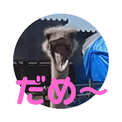 [LINEスタンプ] ダチョウな人向けスタンプ3