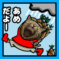 [LINEスタンプ] キジトラ猫14(雨の日)