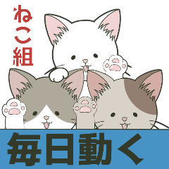 [LINEスタンプ] ねこ組＊毎日動く【ロコ•モコ•ドン】