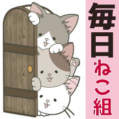 [LINEスタンプ] ねこ組＊毎日飛び出す❤️ロコ•モコ•ドン