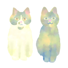 [LINEスタンプ] okoto家の猫たち