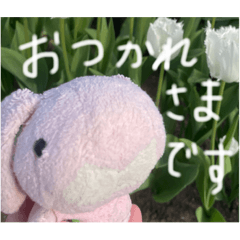 [LINEスタンプ] たんたんスタンプ⑤