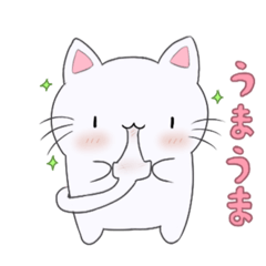 [LINEスタンプ] 餅ねこスタンプ【きっと使いやすい！】