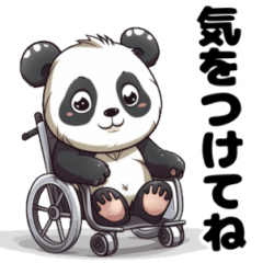 [LINEスタンプ] 車椅子のパンダとくまちゃんスタンプ