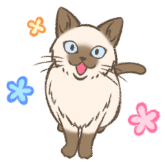 [LINEスタンプ] シャム猫のシャーコ [改]