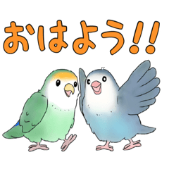 [LINEスタンプ] コザクラインコピノとその仲間たちスタンプ