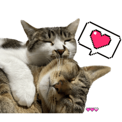 [LINEスタンプ] ゼロココ2