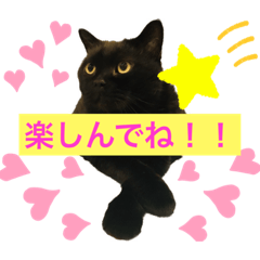 [LINEスタンプ] 黒猫 ルナ院長68にゃんめ