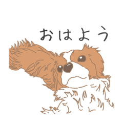 [LINEスタンプ] キャバリアです。『日常編』