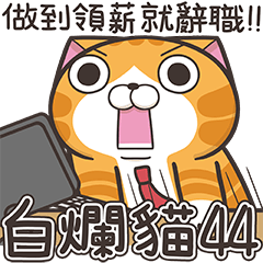 [LINEスタンプ] ランラン猫 44 (台湾版)の画像（メイン）