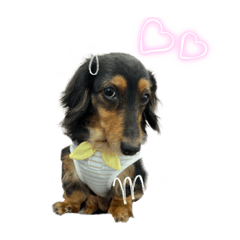 [LINEスタンプ] N.Family03