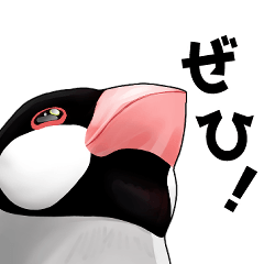 [LINEスタンプ] 「中に人間入ってる？」使いやすい文鳥