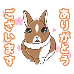 [LINEスタンプ] ミニウサギひめちゃん