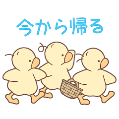 [LINEスタンプ] ひよこの3兄弟 -家族の連絡-