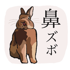 [LINEスタンプ] うさぎの「ピカちゃん」と ゆかいなお友達