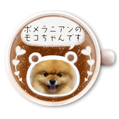 [LINEスタンプ] ポメラニアンのモコちゃんコーヒーカップ