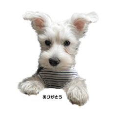 [LINEスタンプ] baby_muu2