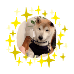 [LINEスタンプ] ★レオスタンプ★